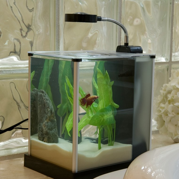 nano aquarium idee deco originale
