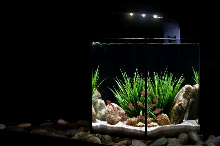 nano aquarium luminaires LED