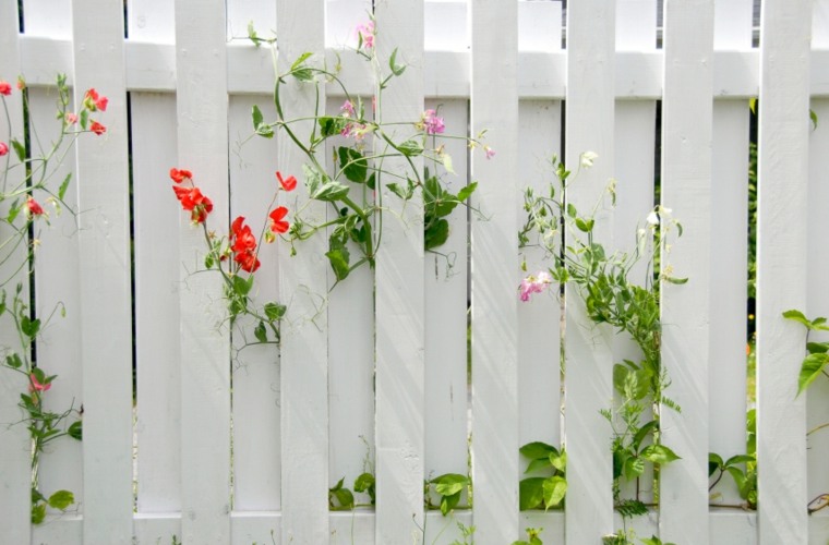 jardin palissade déco clôture grille fleurs original 