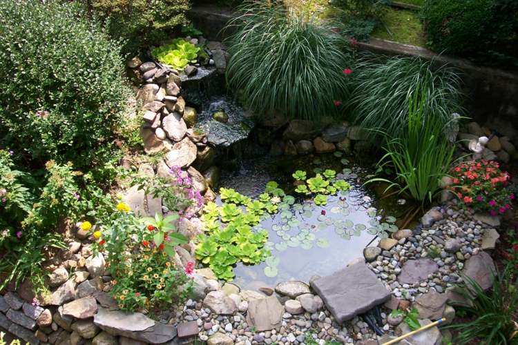 petit bassin de jardin zen
