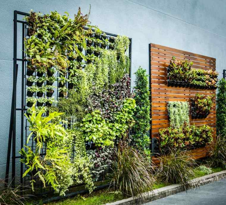 décoration de jardin mur végétal idée 