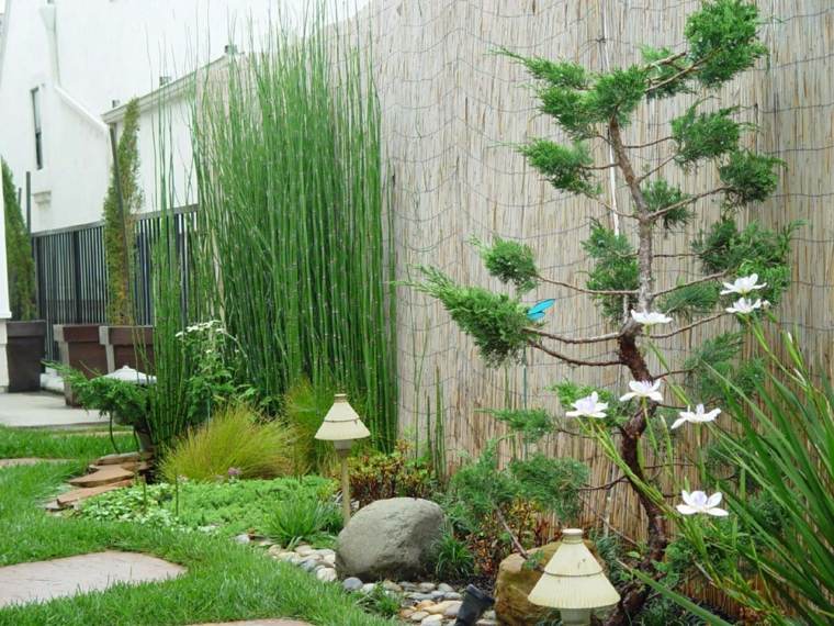idée déco jardin aménagement moderne types plantes accessoires