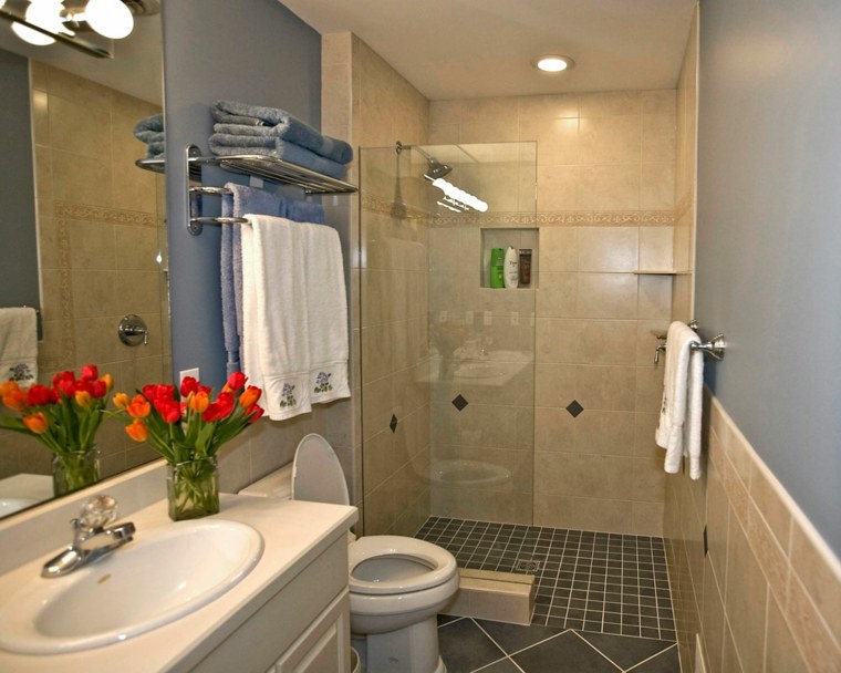 douche italienne salle de bain aménagement petit espace