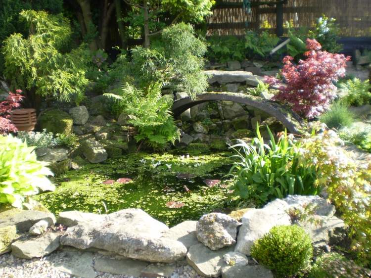 décoration jardin rocaille japonais