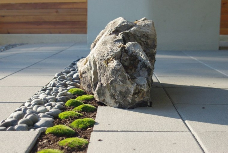 déco plantes et jardin pierre extérieur moderne 