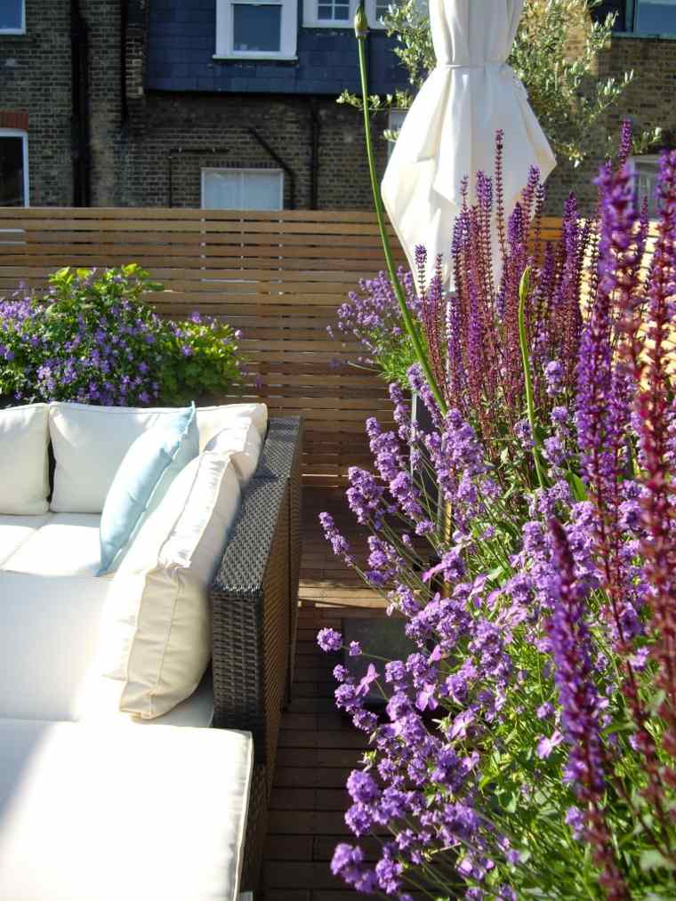 petit jardin idees decoration salon design terrasses
