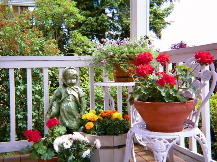 déco veranda pots fleurs