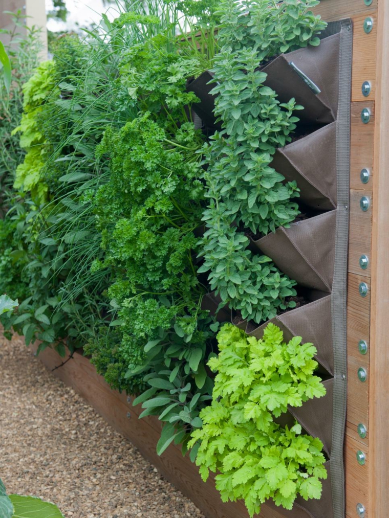 mur vertical jardin plante idée aménagement