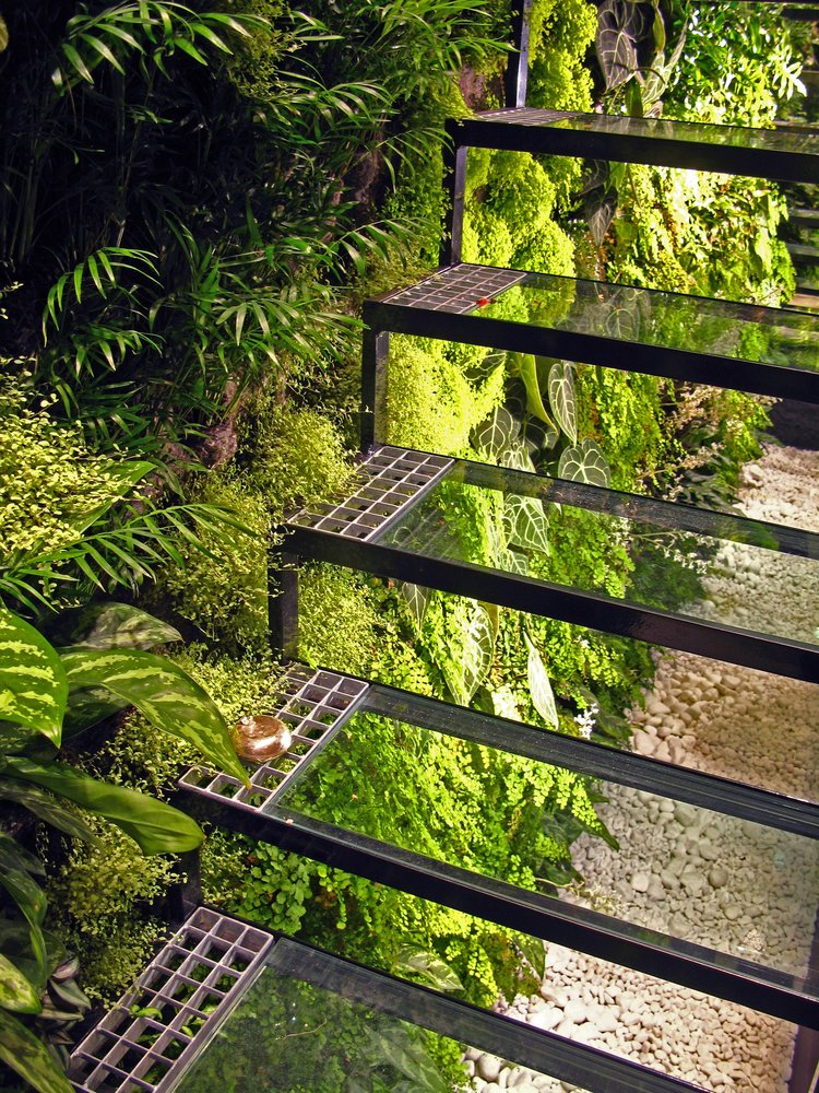 jardin extérieur vertical idée plante verte 