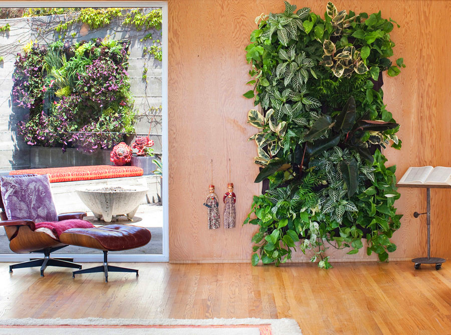 potager végétal intérieur idée salon aménagement fauteuil cuir
