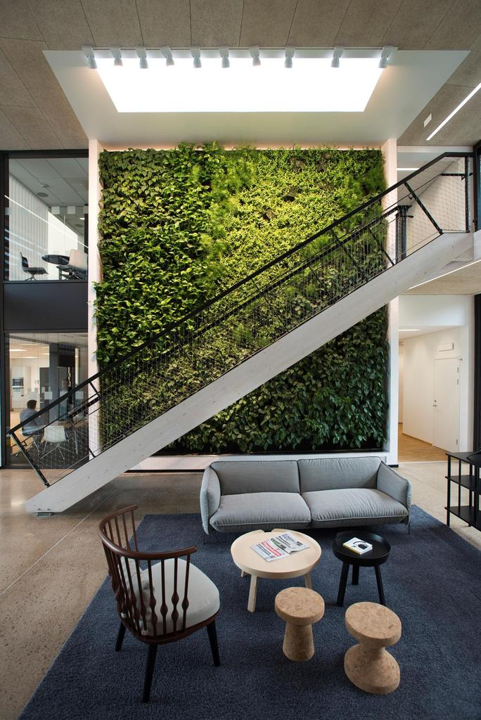 mur intérieur végétal idée déco plantes 