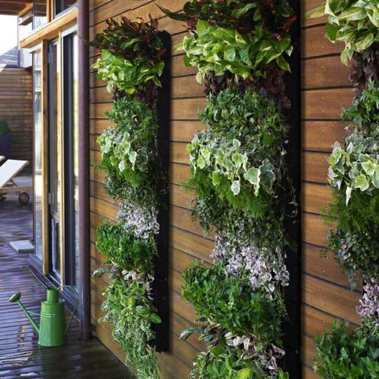 mur végétal idée plante déco 