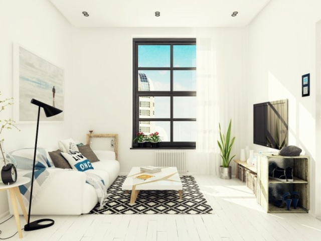 appartement idée aménagement design tapis de sol noir et blanc canapé design plante