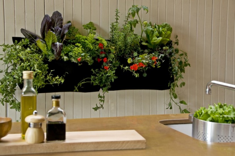 idee decoration cuisine mur vegetal