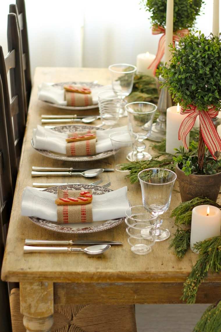 décoration table en bois assiette plantes idée original verres 