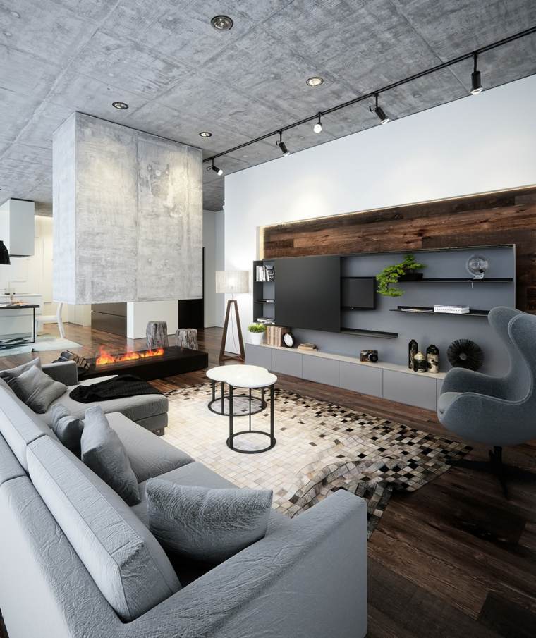 photo salon style moderne meubles gris