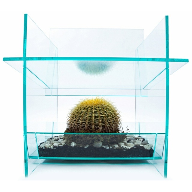 chaise cactus designer contemporain transparente objet design 