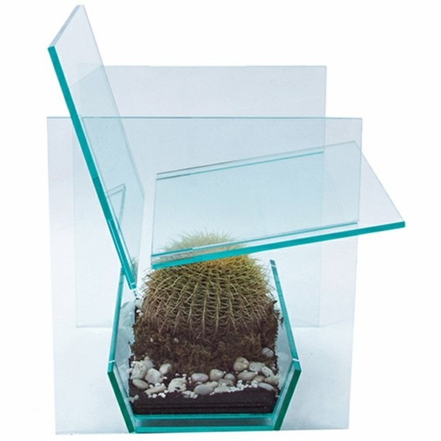 chaise designer moderne idée chaise cactus transparente cactus design