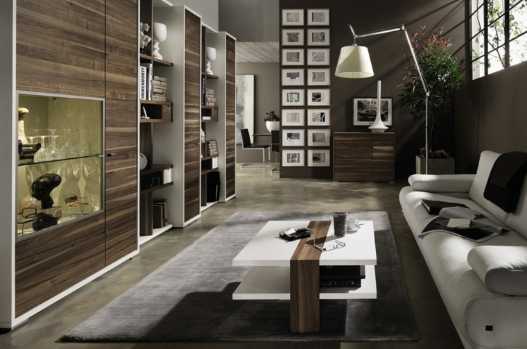 salon contemporain aménagement idée tapis de sol gris étagères bois meuble design cadres mur déco canapé blanc coussins