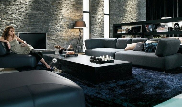 salon contemporain tapis de sol noir table basse bois design canapé gris moderne