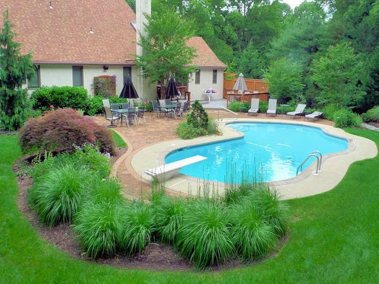 jardin plante verte décoration piscine extérieure