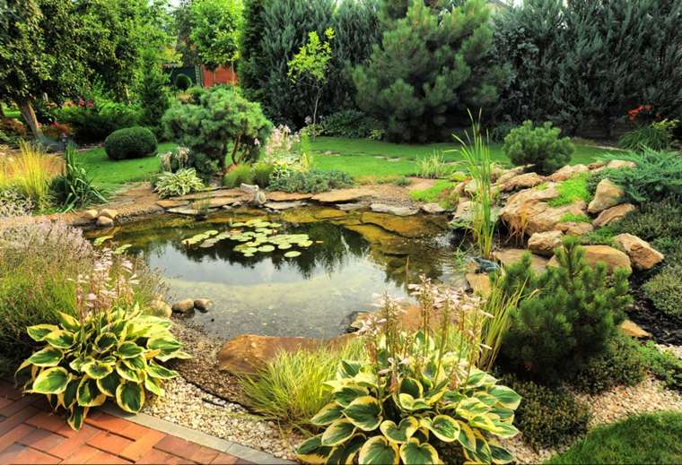 jardin déco idée nénuphares bassin d'eau moderne 