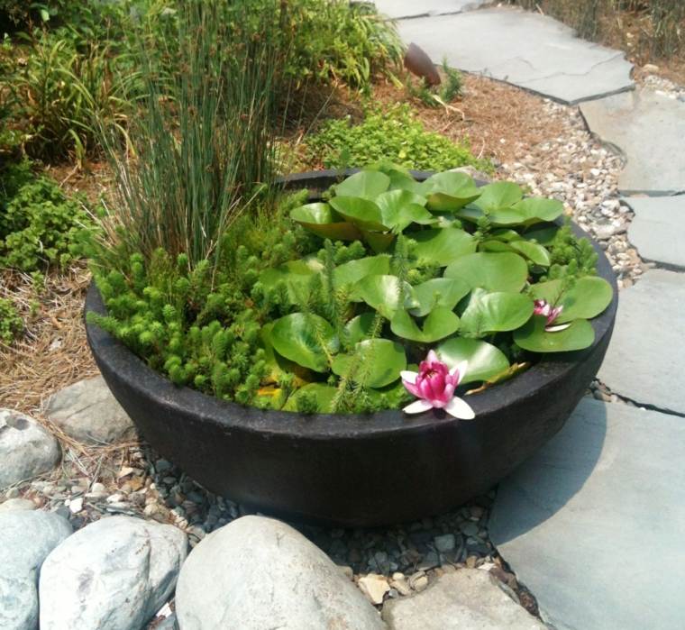 idée plante jardin bassin d'eau déco extérieure