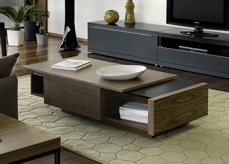 table salon design tiroirs moderne idée tapis de sol beige mobilier noir 