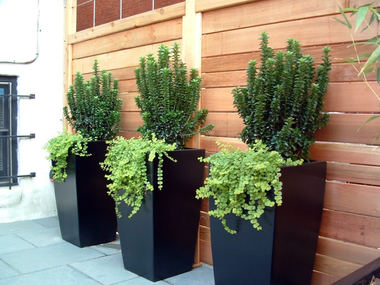 deco terrasse grands pots plantes