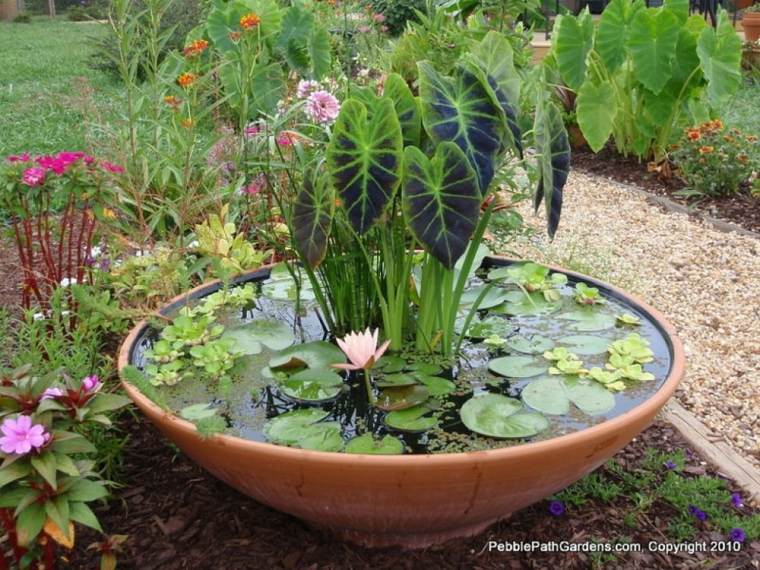 idée aménagement jardin espace extérieur bassin d'eau déco plante