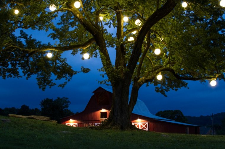 arbre décoré guirlande lumineuse idée boules lumineuses