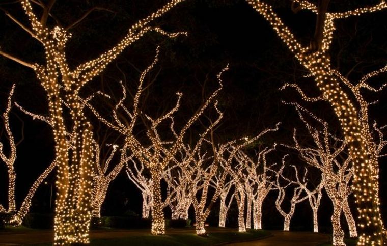 arbres idée guirlande lumineuse éclairage extérieur moderne design