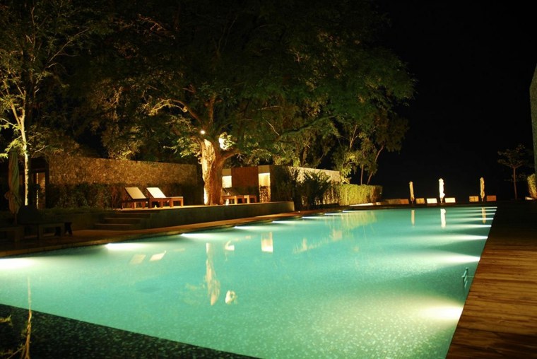 piscine extérieure idée éclairage moderne palme design