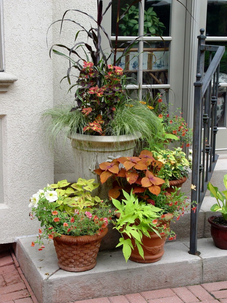 plantes fleurs idee deco