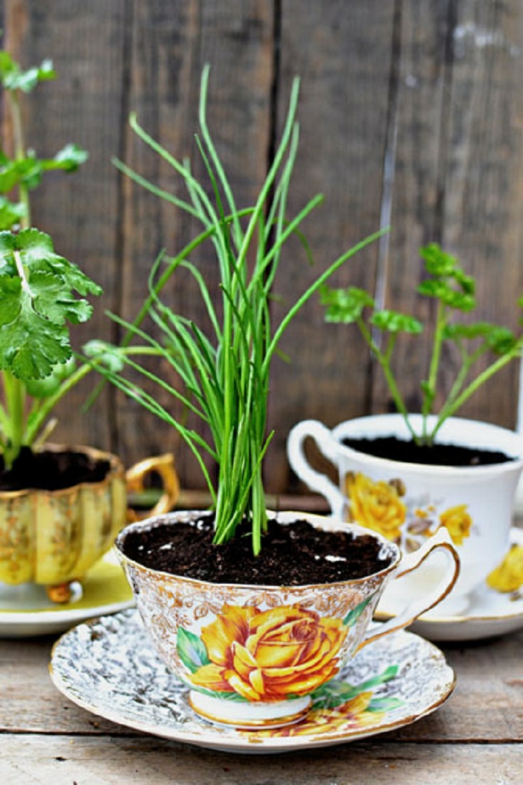 plantes pots creatifs idee