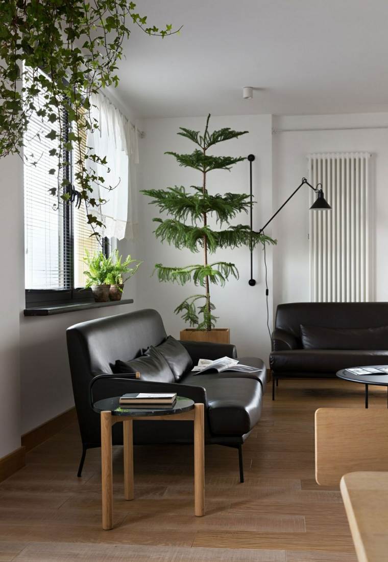 dépolluer l'air appartement plante verte