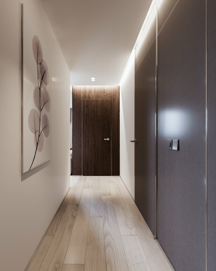 appart design moderne entrée déco mur idée porte bois intérieur moderne mur gris