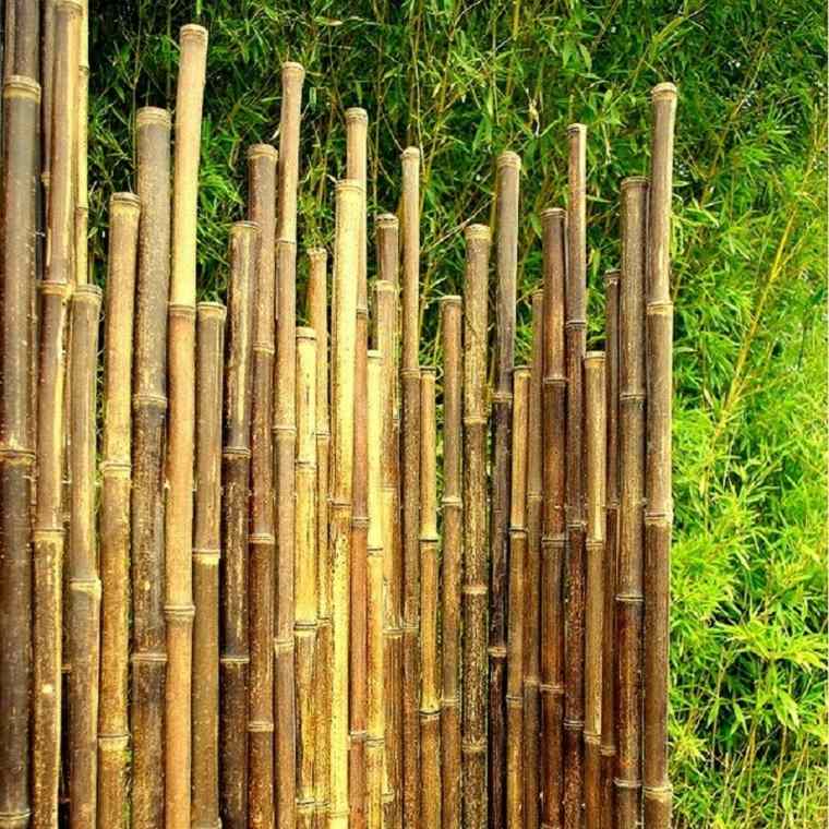 jardin cloture bambou original idée moderne design plantes
