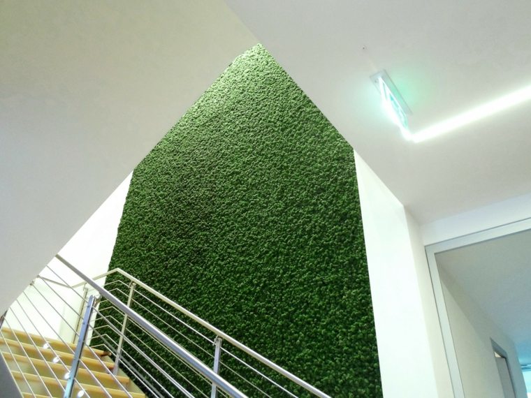 idee decoration murs plantes tapissantes