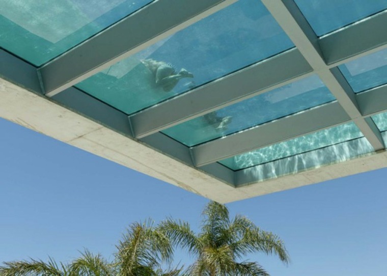 piscine verre design paroi verre idée aménagement maison jellyfish