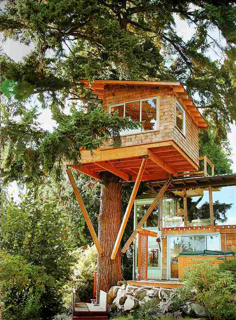cabane dans les arbres idée bois design moderne 