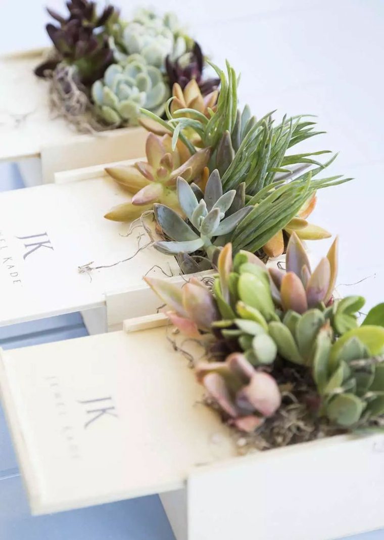 deco mariage table idees plantes grasses