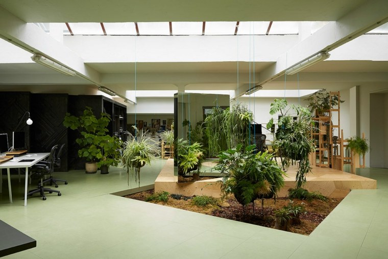jardin intérieur deco bureau design moderne