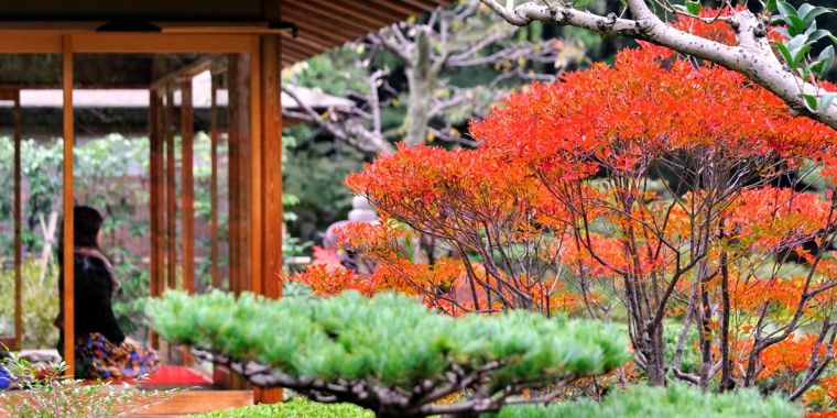 aménager son jardin deco japonaise automne