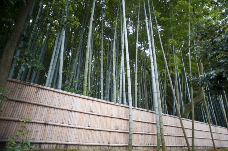 clôture bambou jardin diy idée originale barrière 