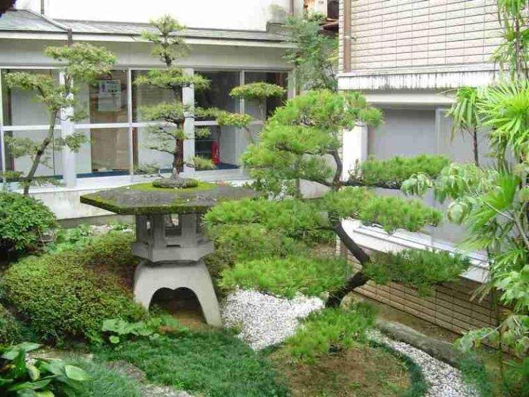 deco jardin zen photos plante idees