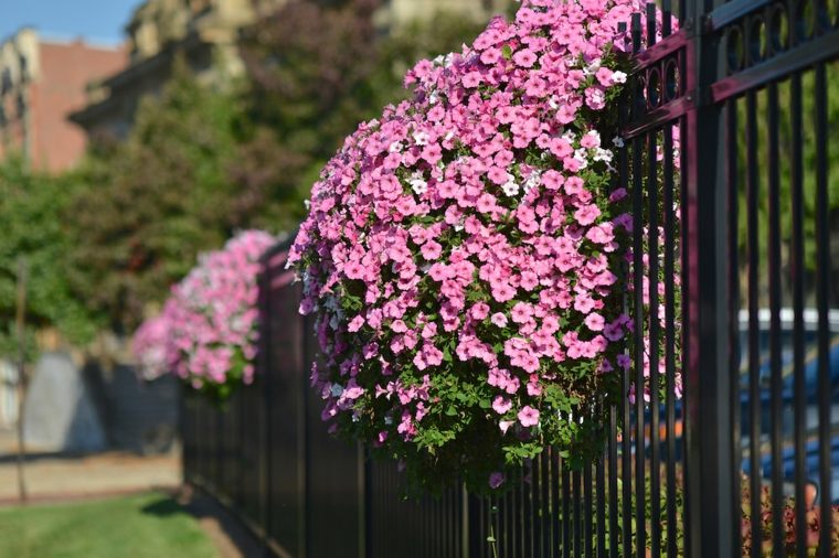 déco mur extérieur jardin photo fleurs suspendus