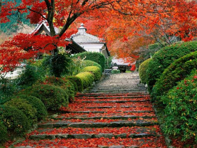 pierre escalier extérieur jardin zen 