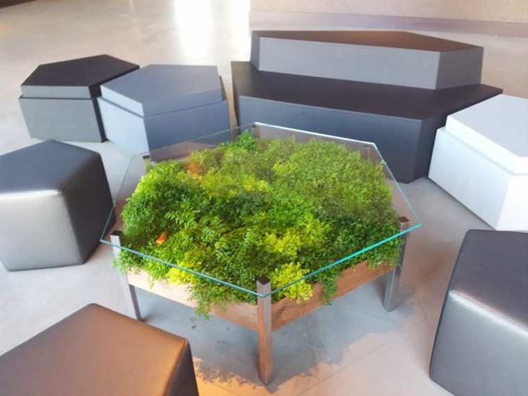 table basse verre bois plante design idée salon 
