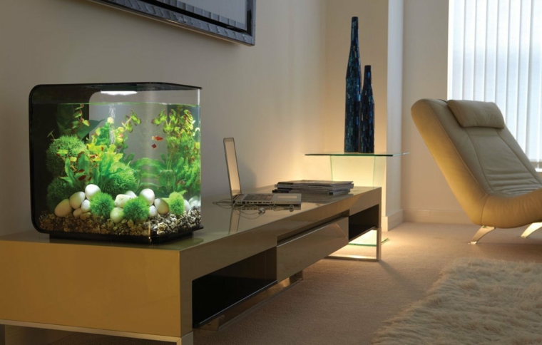 aquarium design maison idee deco